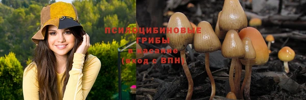 a pvp Бугульма