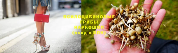 a pvp Бугульма