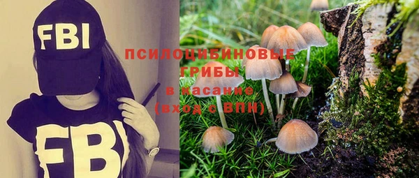 ПСИЛОЦИБИНОВЫЕ ГРИБЫ Верхний Тагил